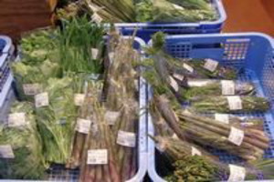 とれたて野菜の直販コーナー